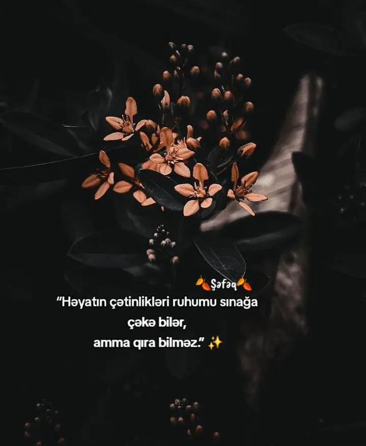 @🍂ŞƏFƏQ🍂
