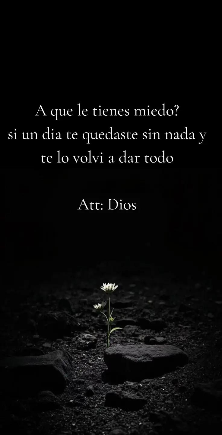 @Andreina Liendo 🌺