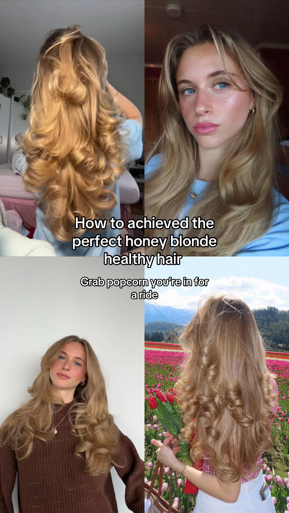@elyse
