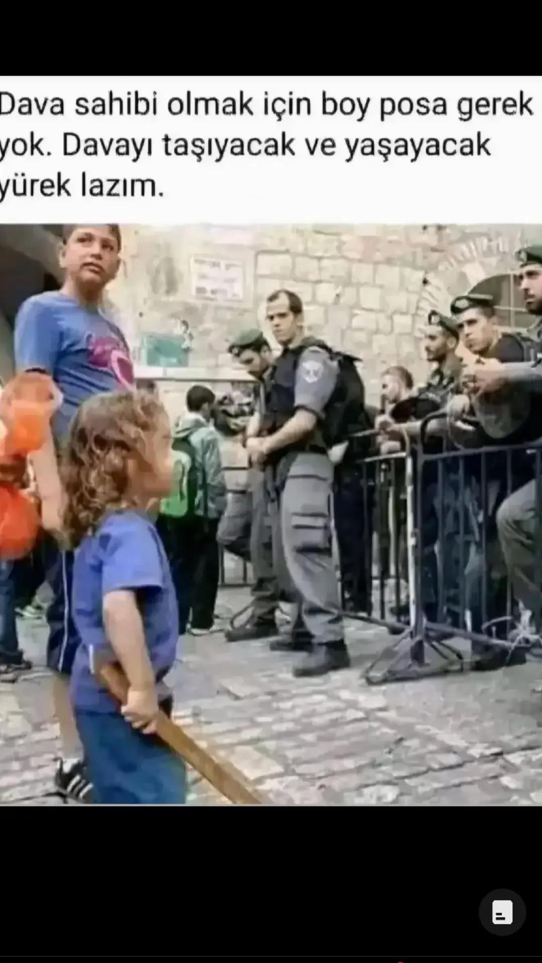 @WOLFMENTÜRK