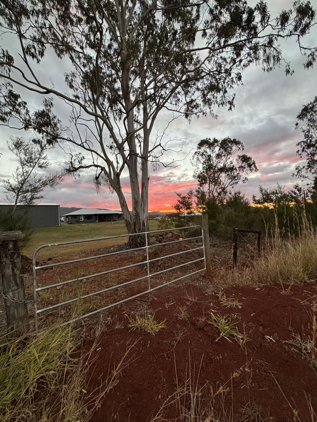 @𝙼𝚊𝚌𝚎🇦🇺