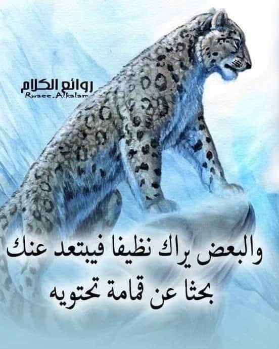 @MMK92