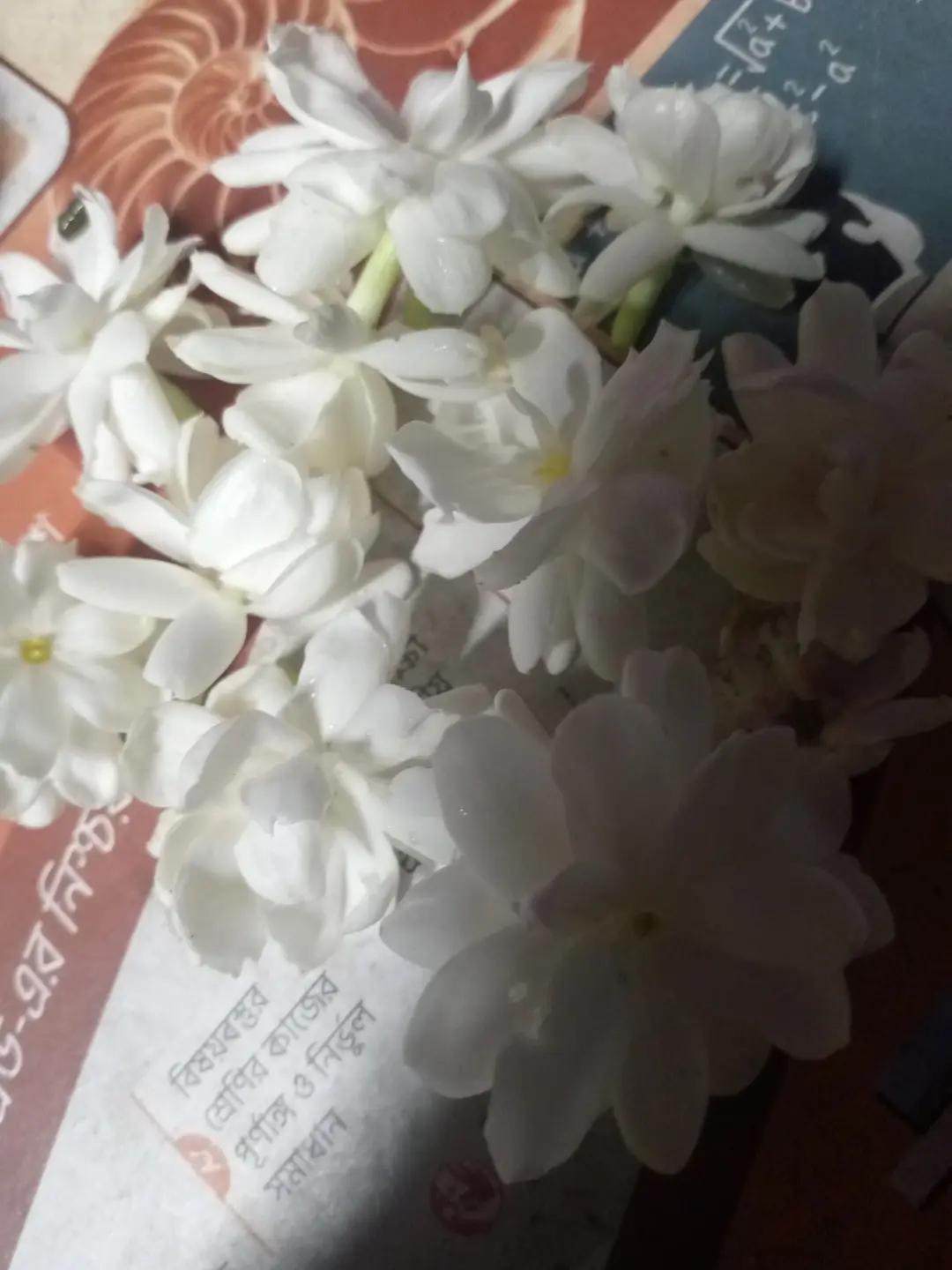 @সাথী