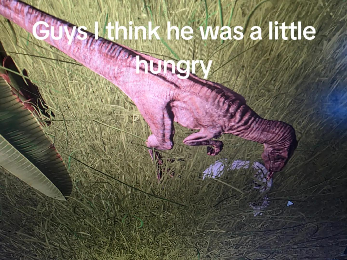 @λ Zack