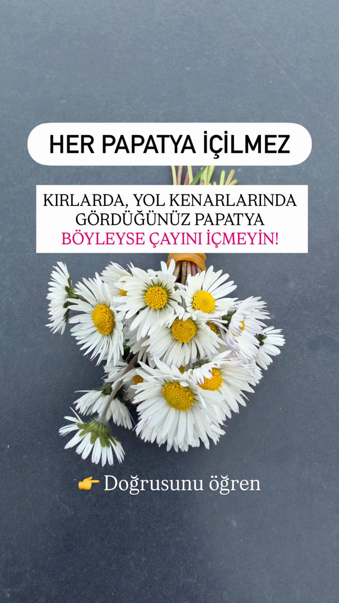 @Erdem &Ouml;ner