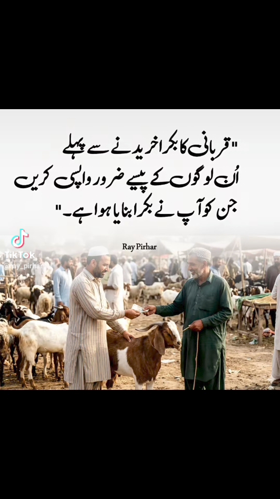 @M Faheem Ahmed