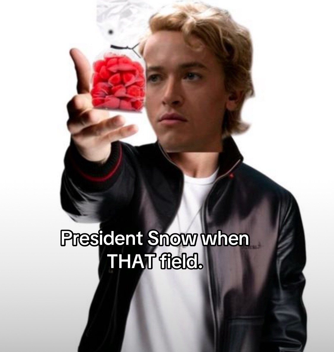 @hunger_games12