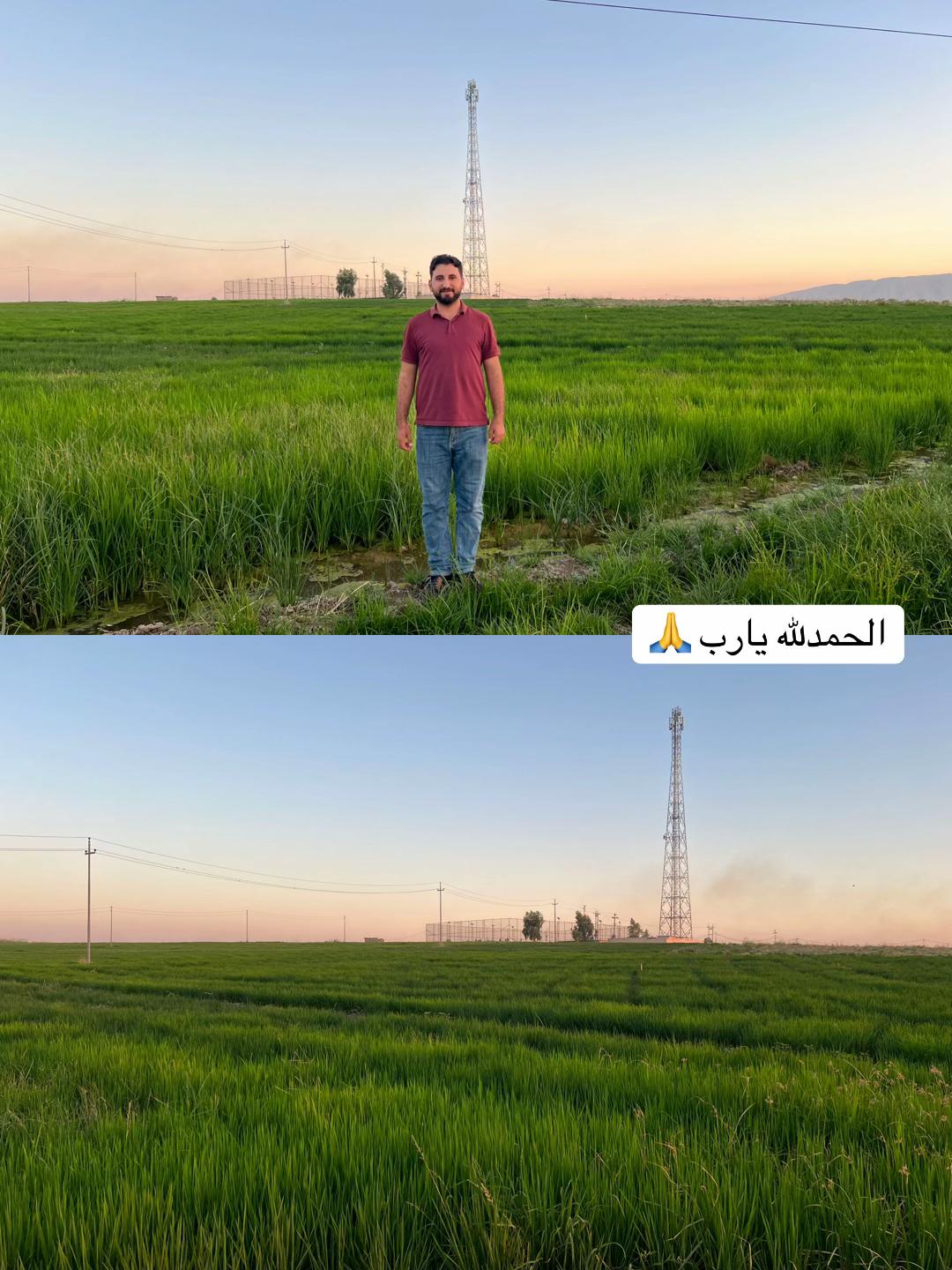@Yazan Zebari ⚖️