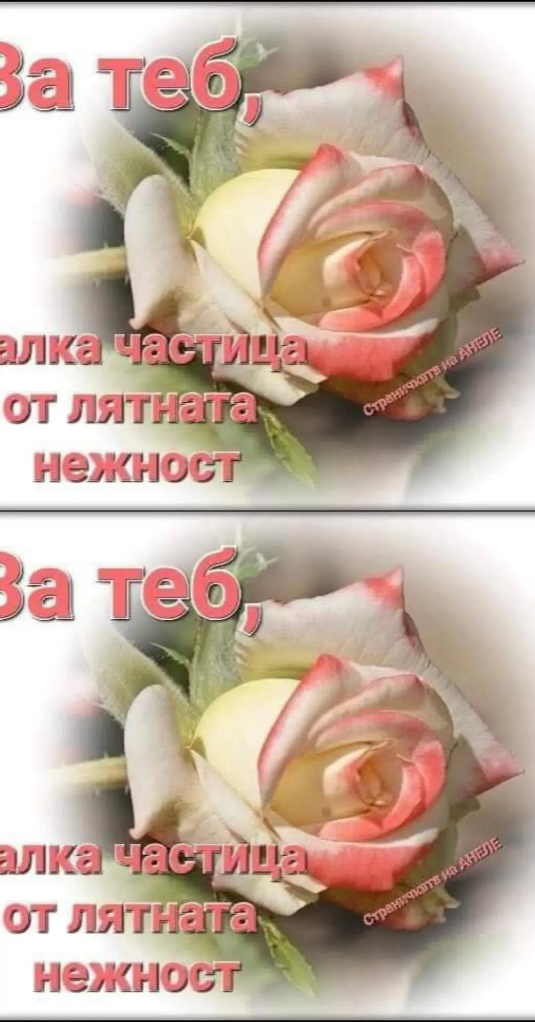 @🇧🇬Mariya_Мария🇧🇬