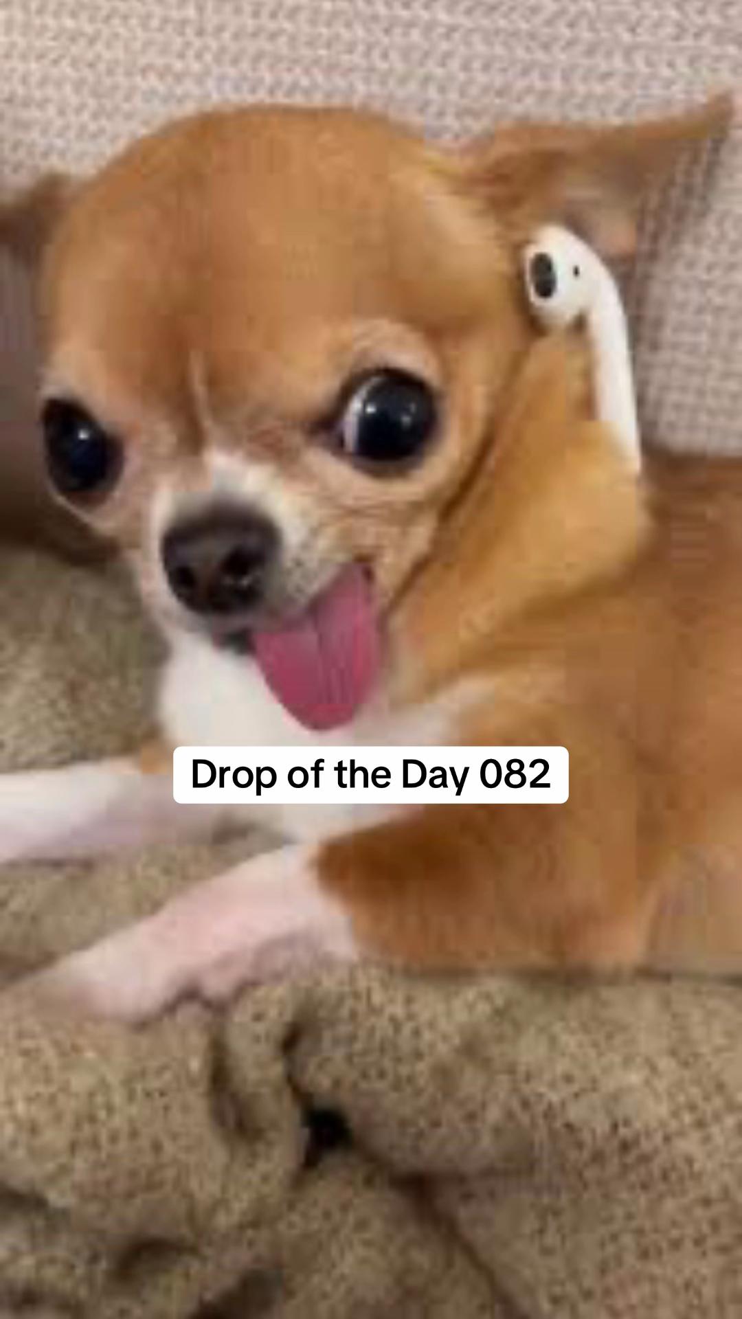 @Bass Hive