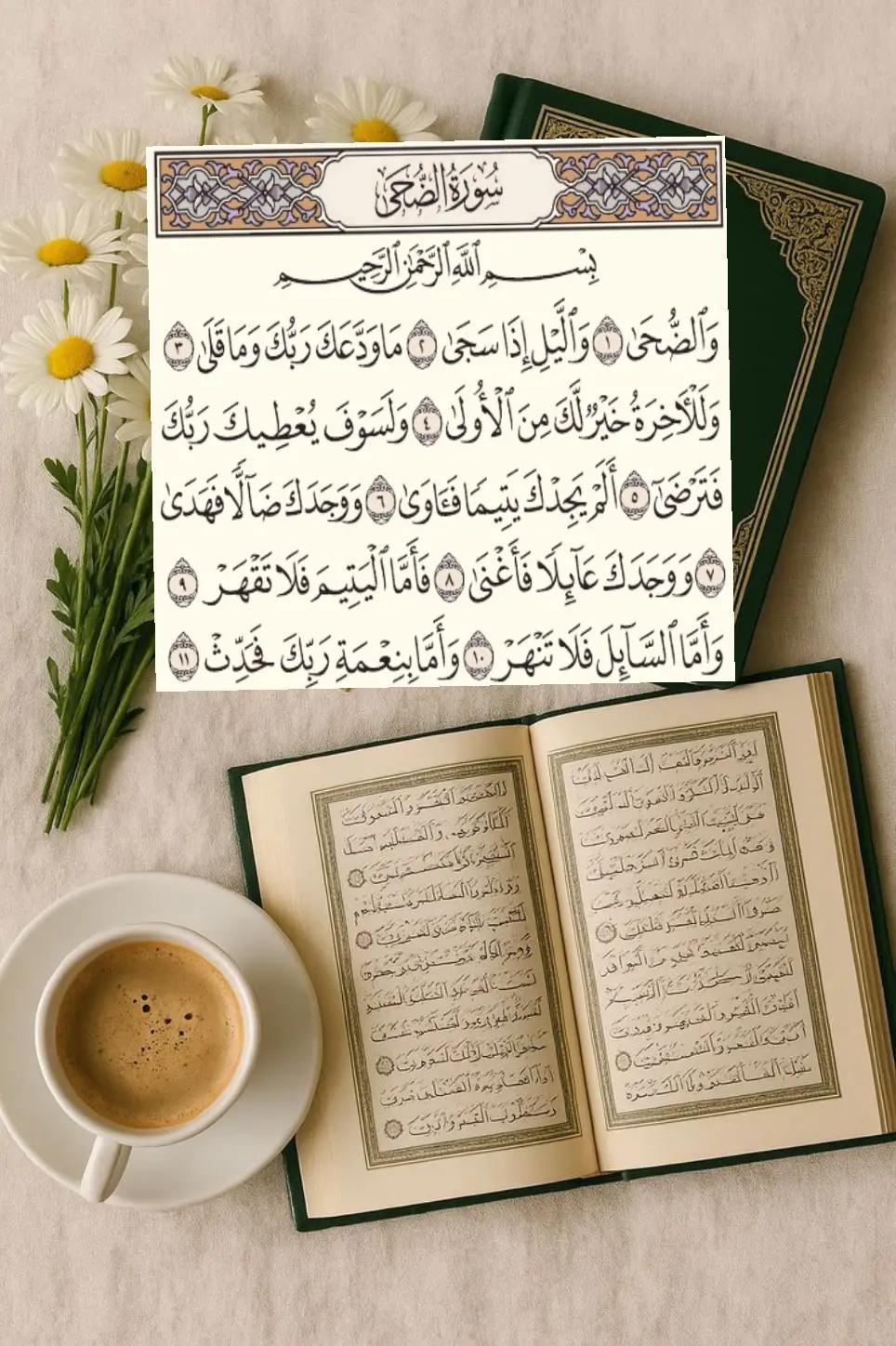 @Rayanbilan3