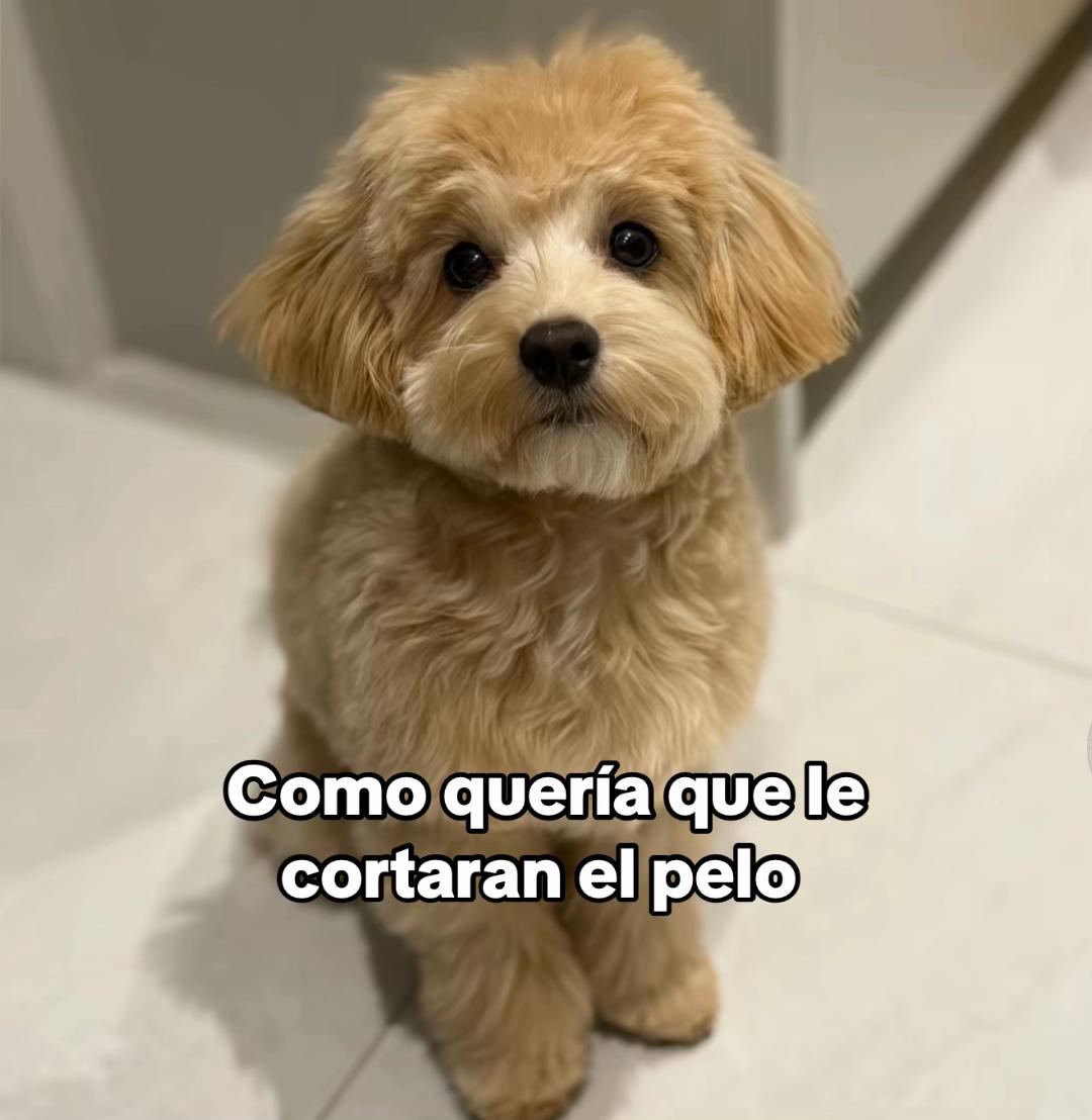 @Vanessa Cardenas
