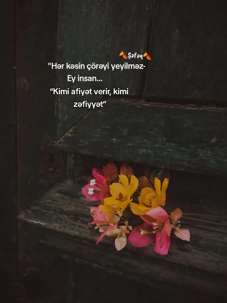 @🍂ŞƏFƏQ🍂