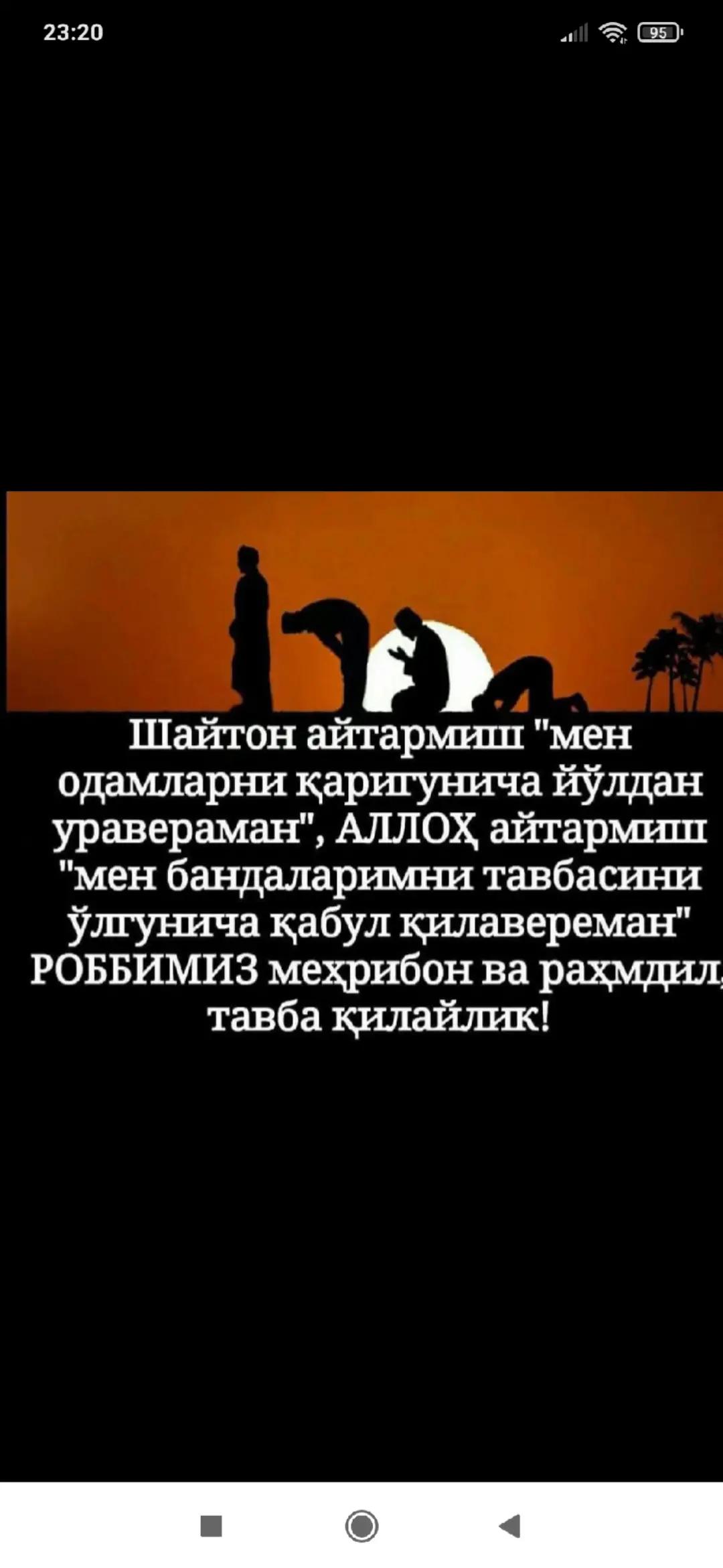 @ЗЕБО 24