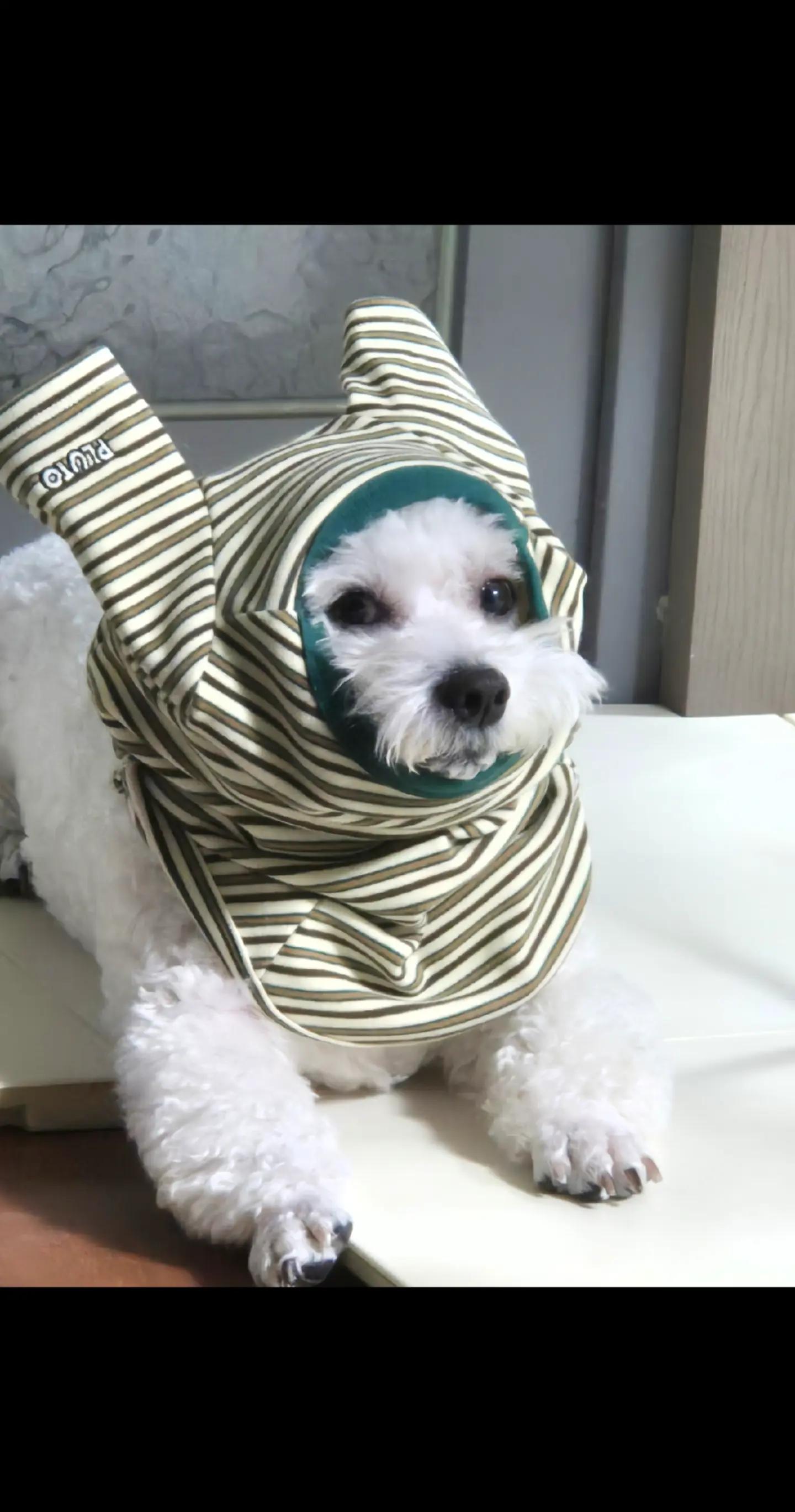 @식빵