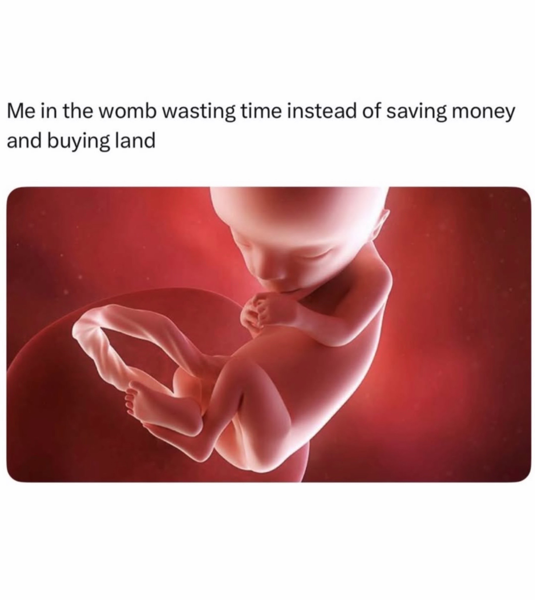 @females