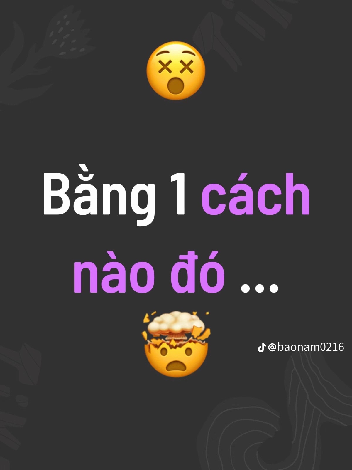 @chai pản mèo