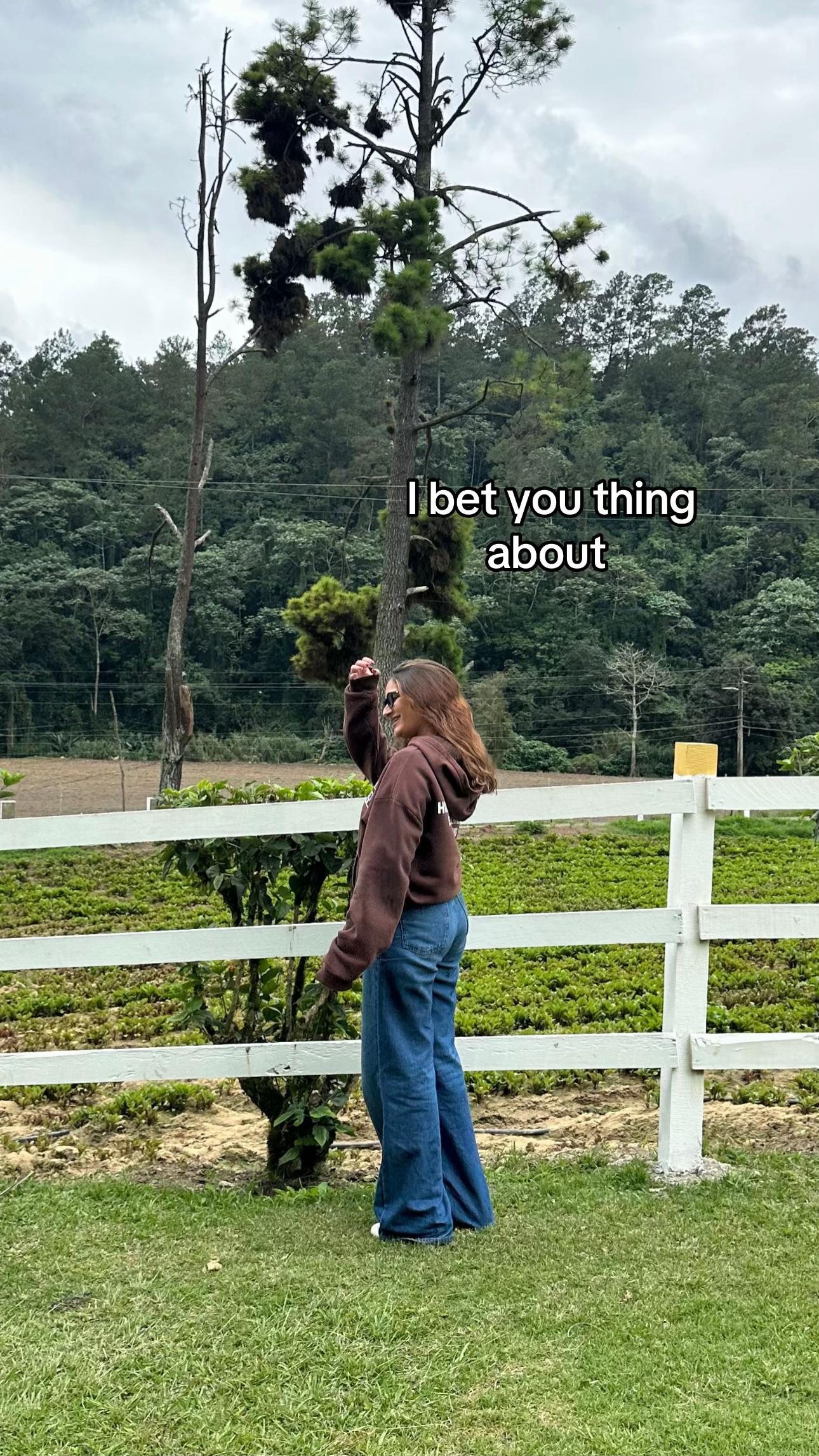 @S/A