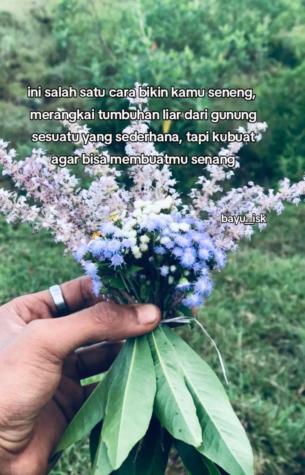 @bayuiskandar037