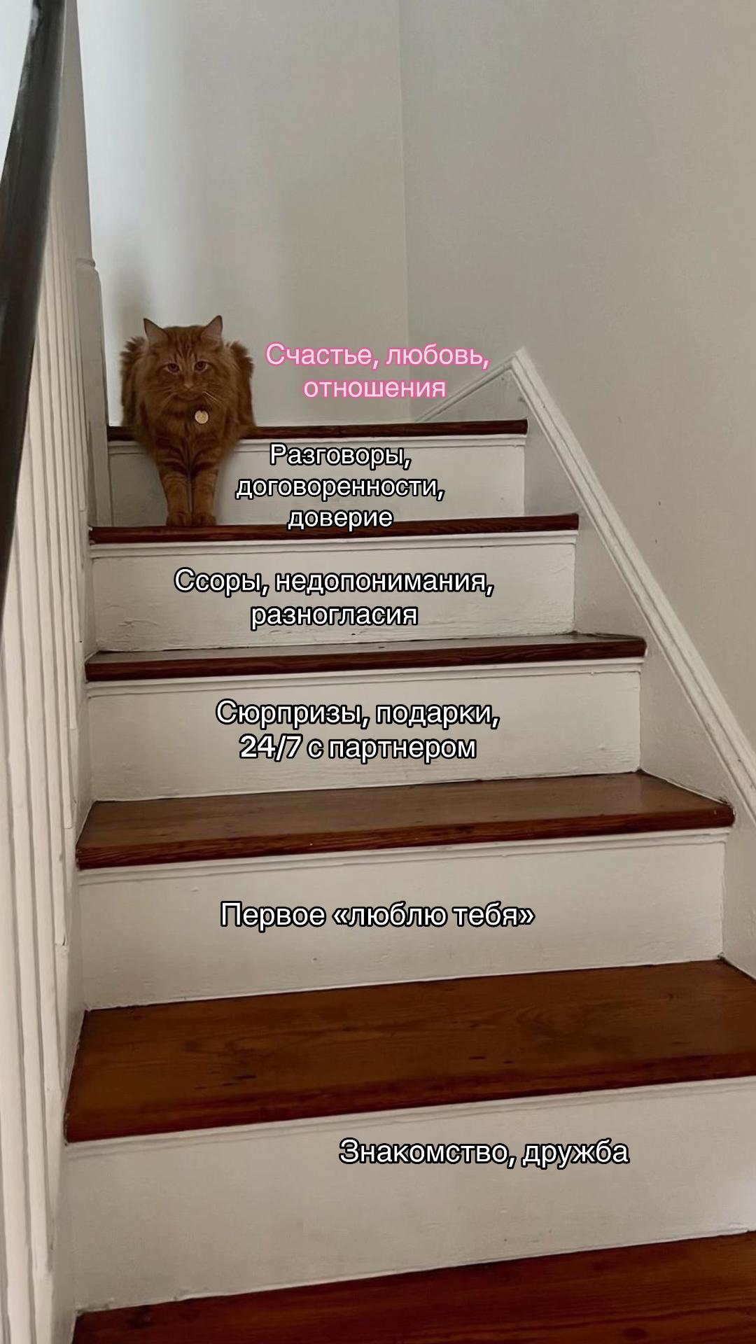 @ЛюблюДжами