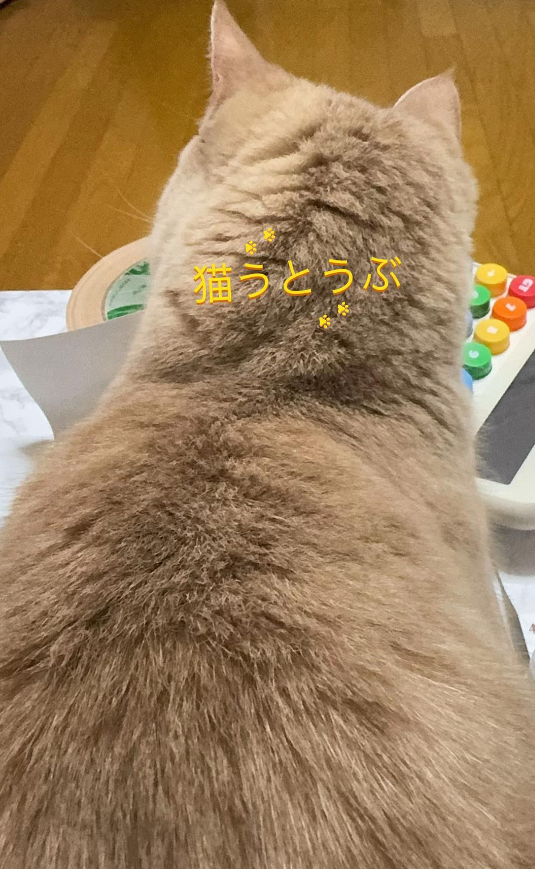 @ð«ð§ããã±ã³ðïžãããµãð§ð«