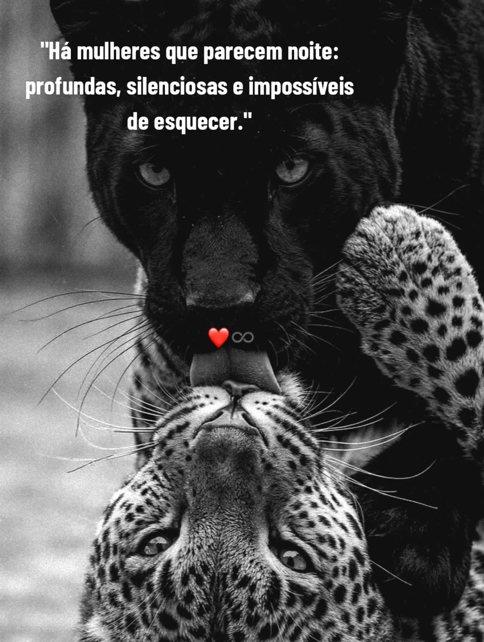 @✧༄ Sandra Frases & Verdades༄✧