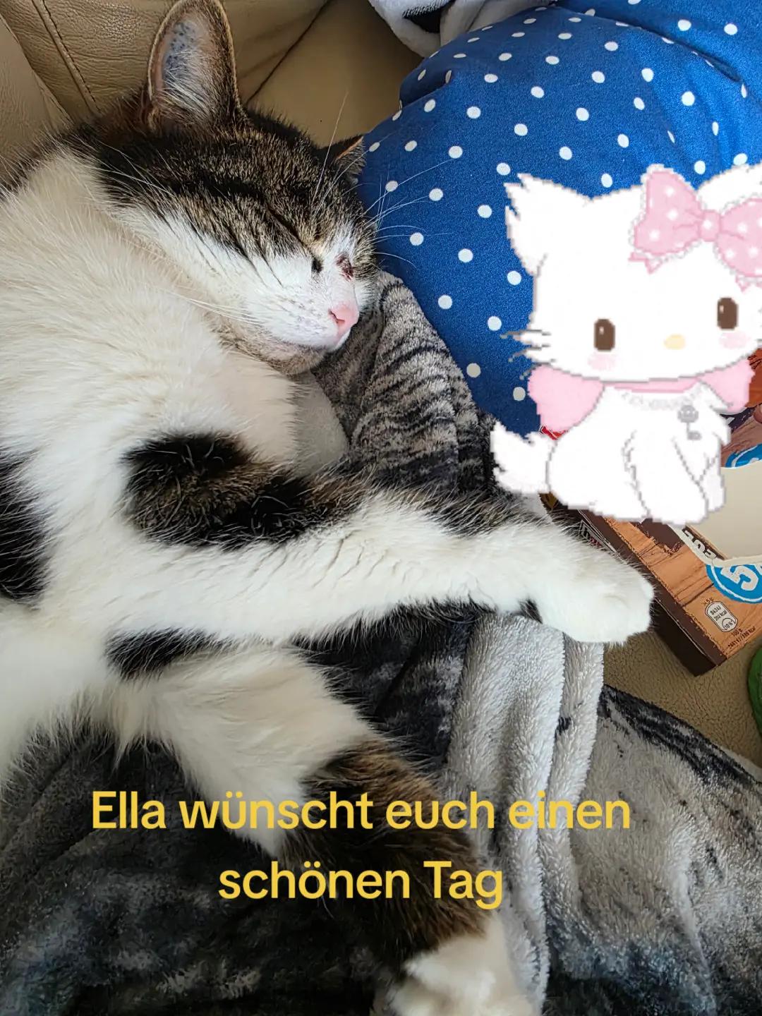 @Sarah Schumacher