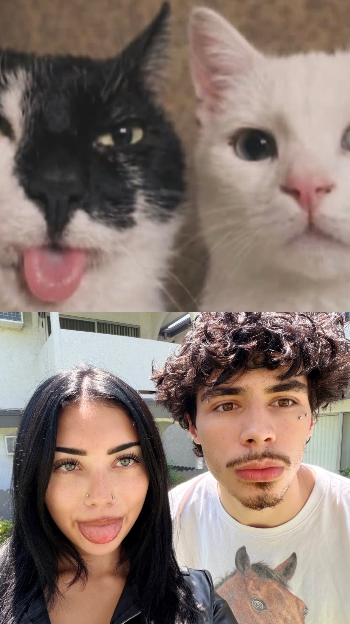 @iffydanny
