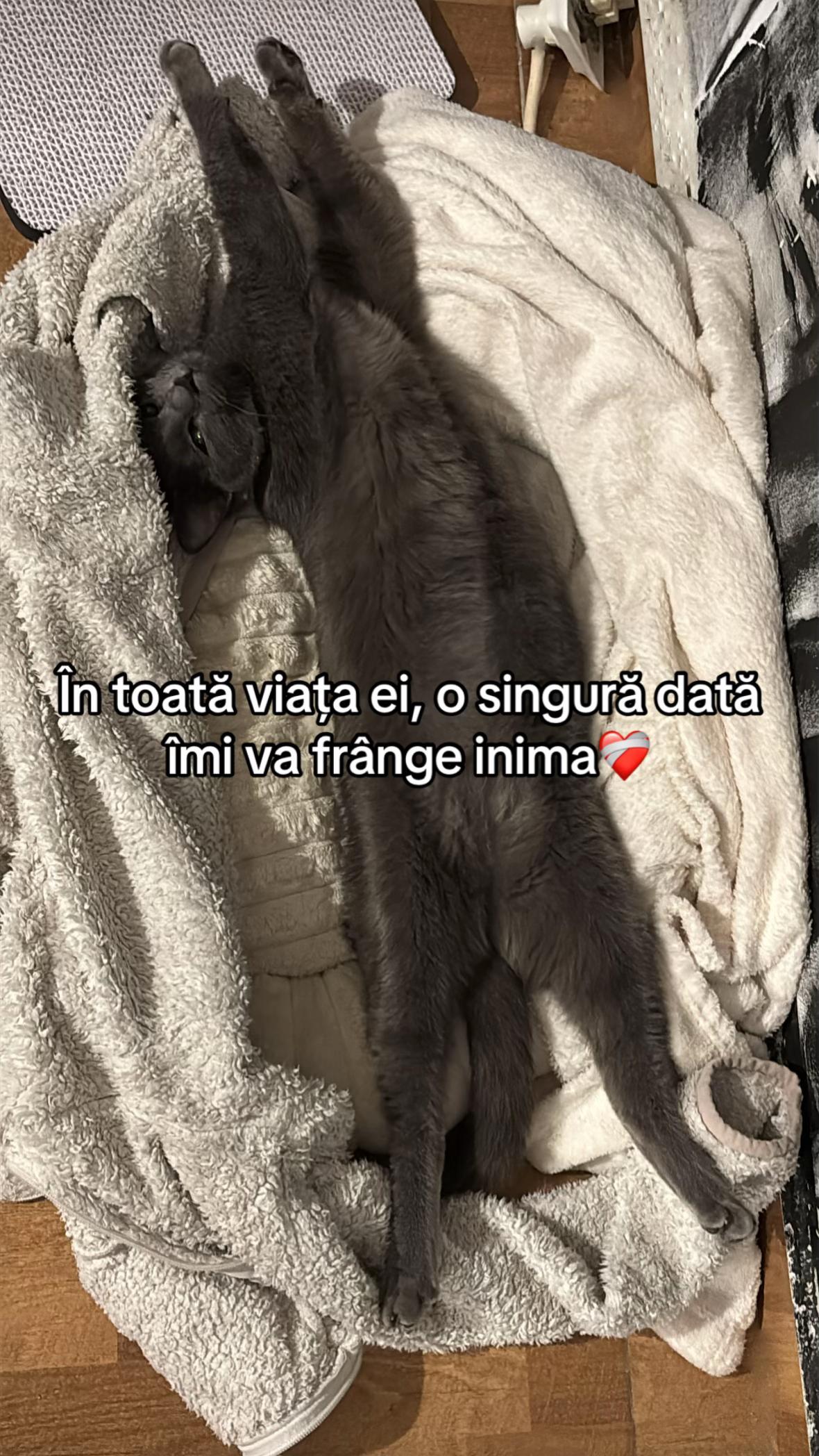 @zeyneppaulaaaa