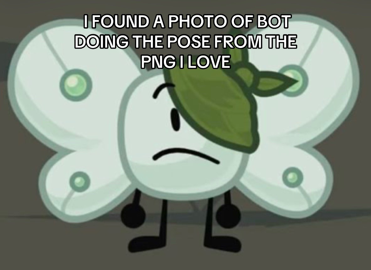@Riley!! (Bot’s #1 fan)