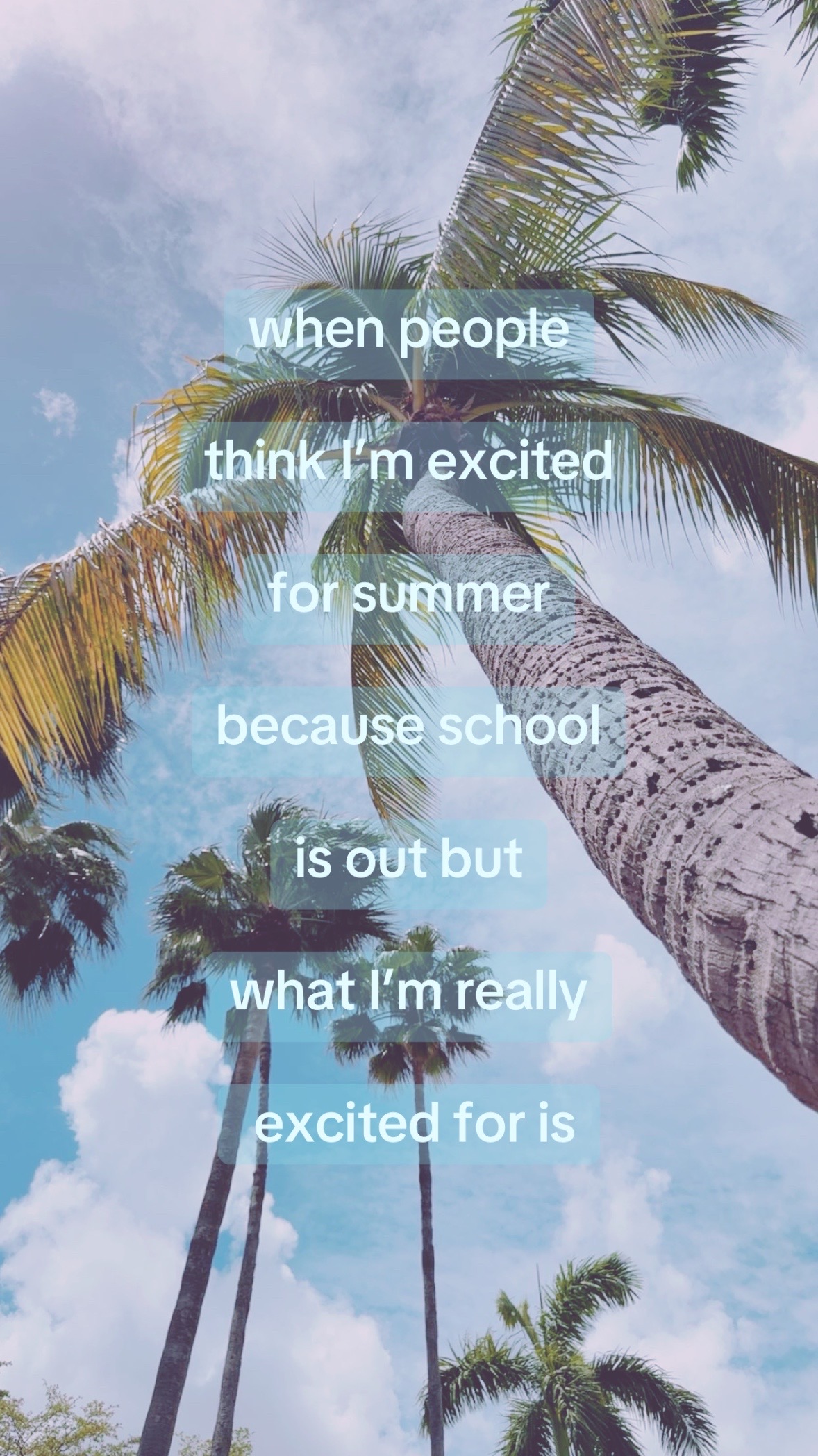 @𝑘𝑦𝑜𝑘𝑖𝑖╰ 🚏・ﾟ