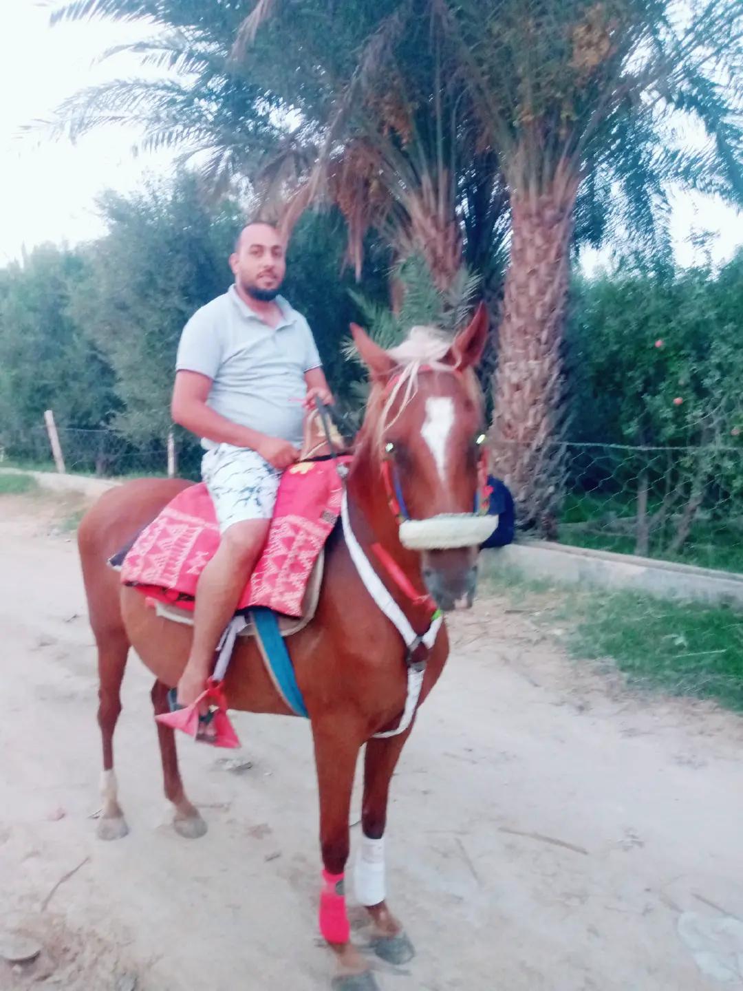 @Samir Selmi
