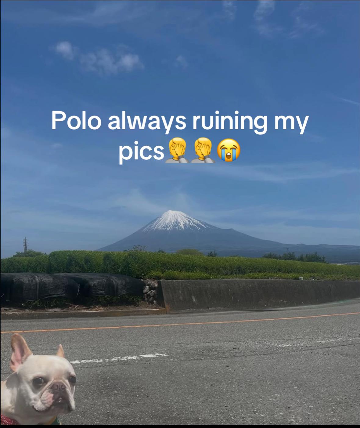 @klawhqqz
