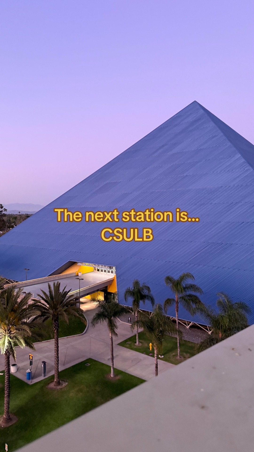 @csulbstudent