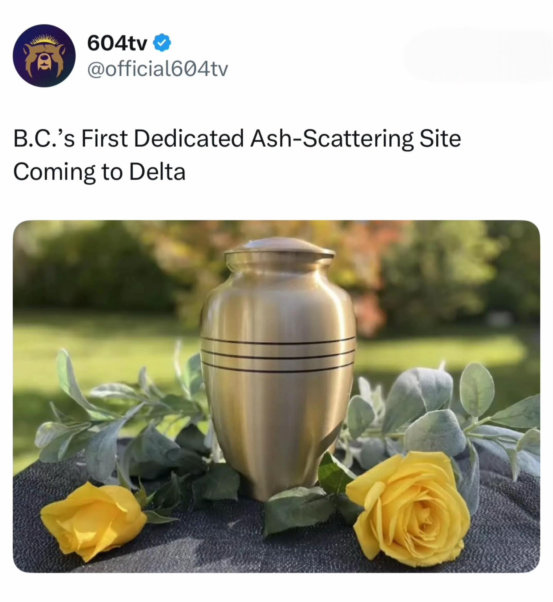 @604tv