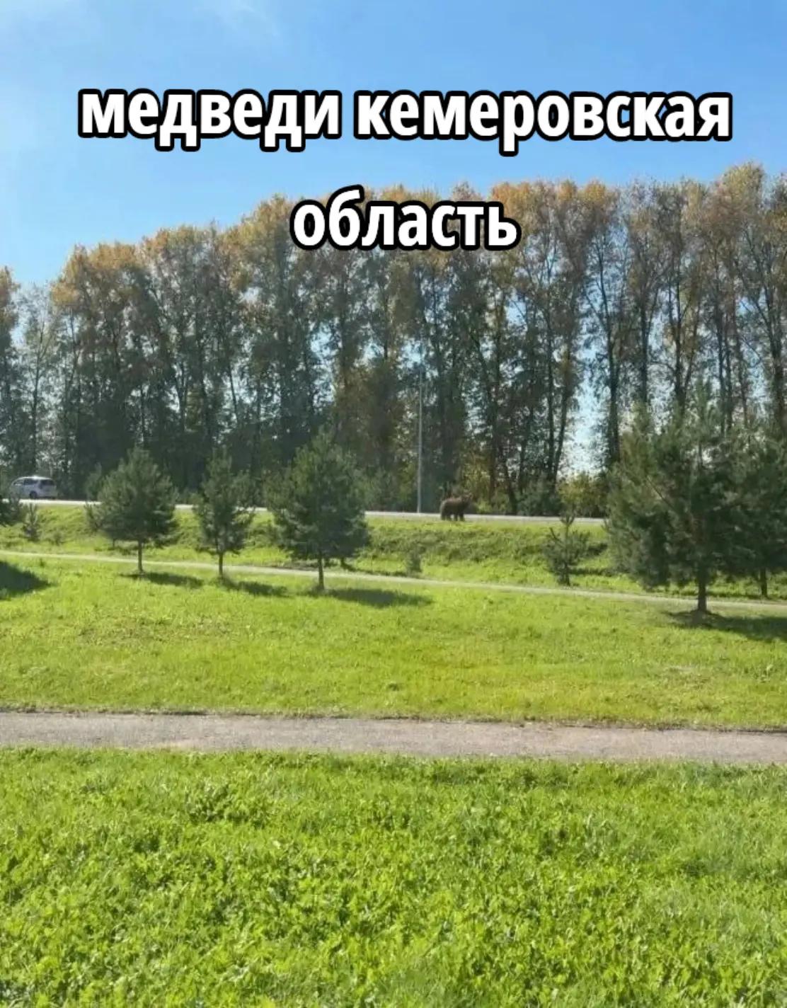 @ВАНЯ 69К