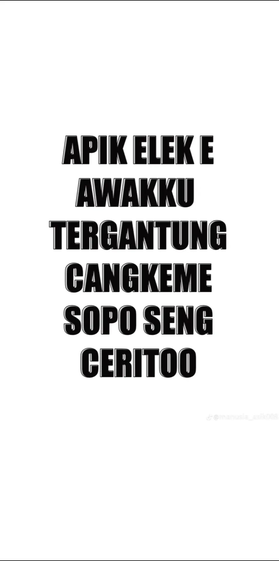 @rapcin19