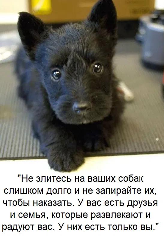 @Денис Манис !