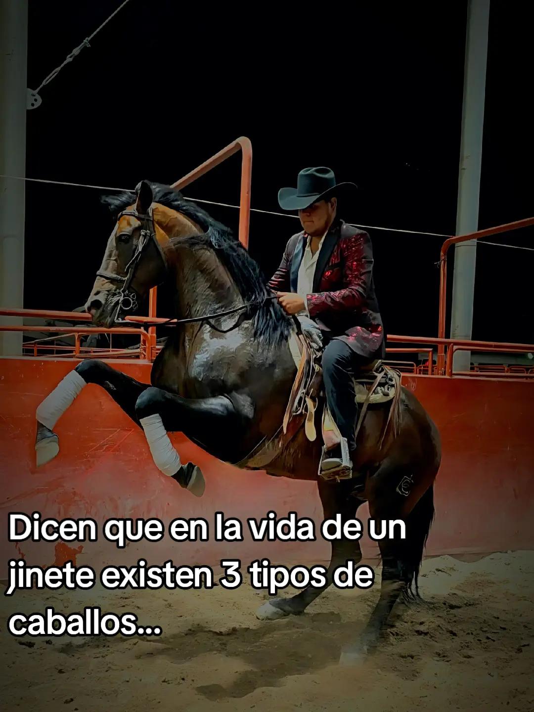 @AlejoRodriguez🎙🐎❤️