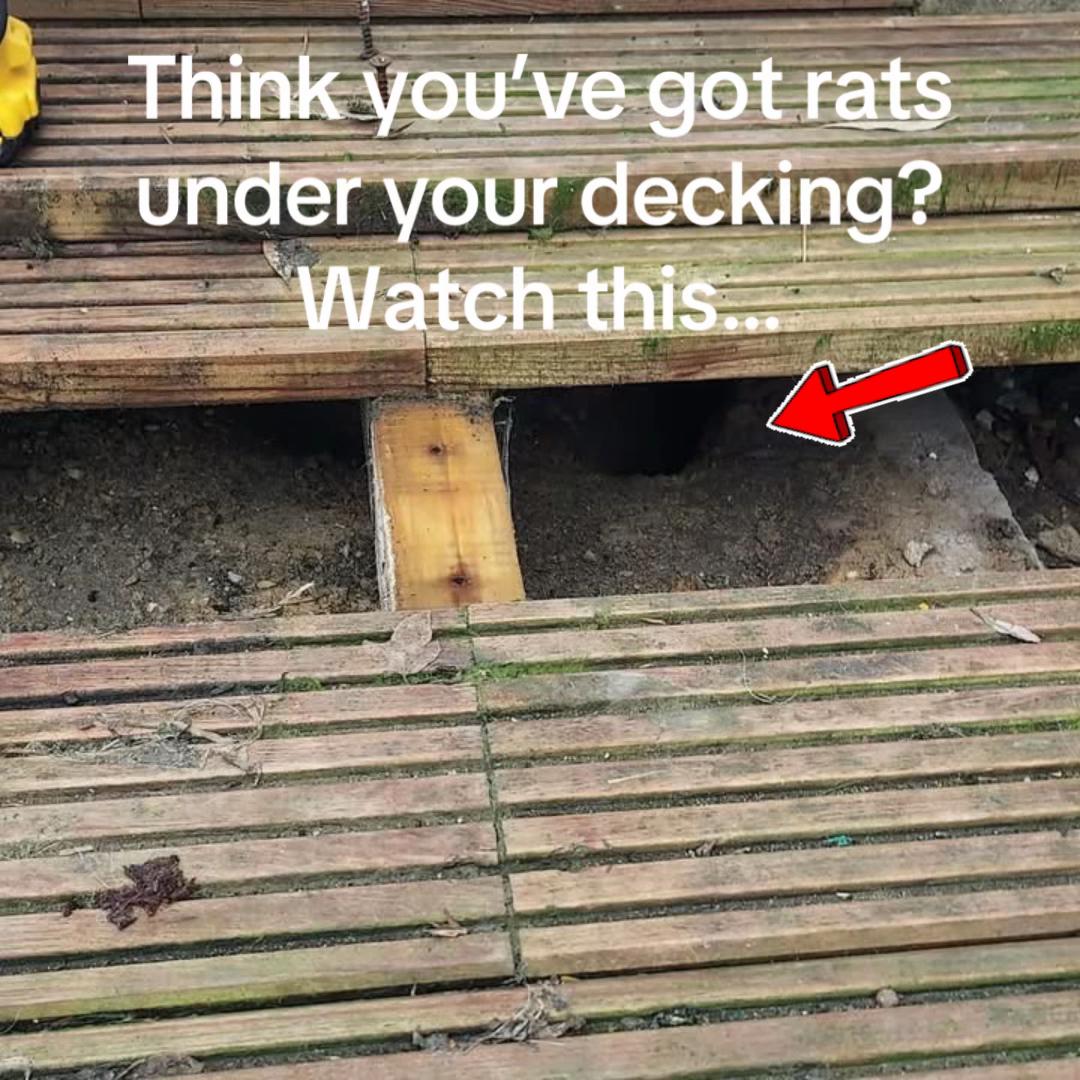 @Imperium Pest Control