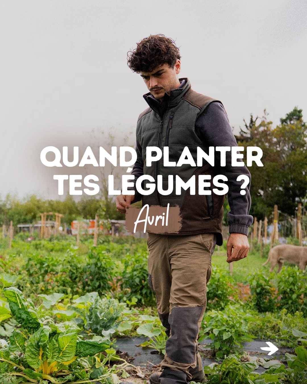 @Goran Le Permaculteur