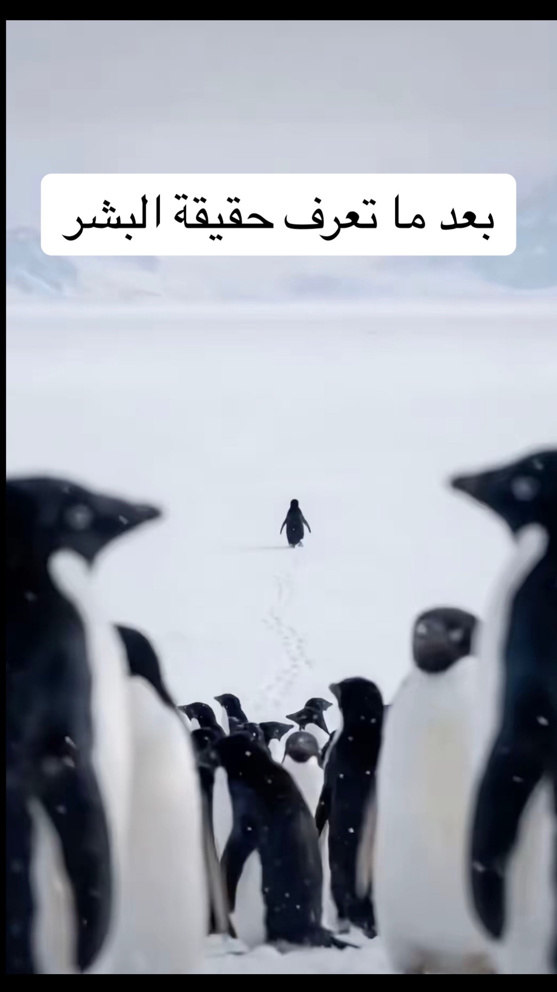 @Mohamed