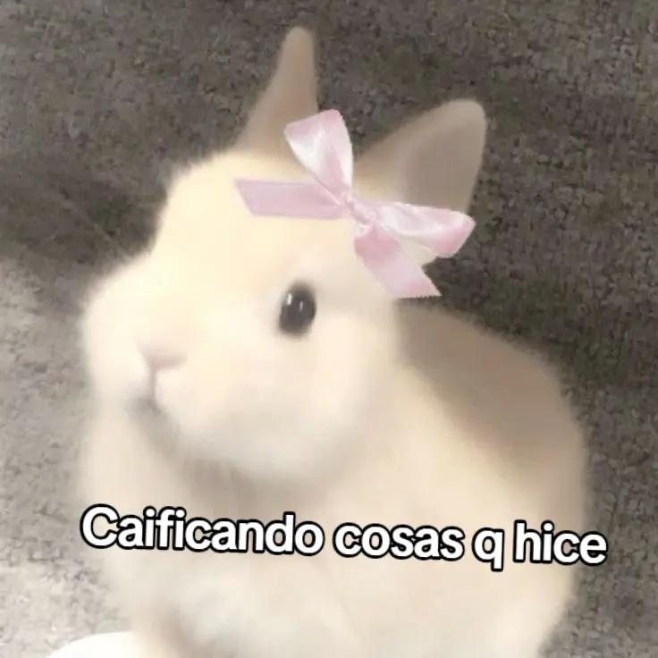 @Joaqui🧖♀️🍓
