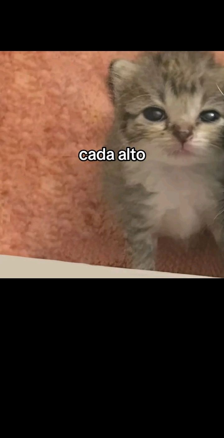 @B