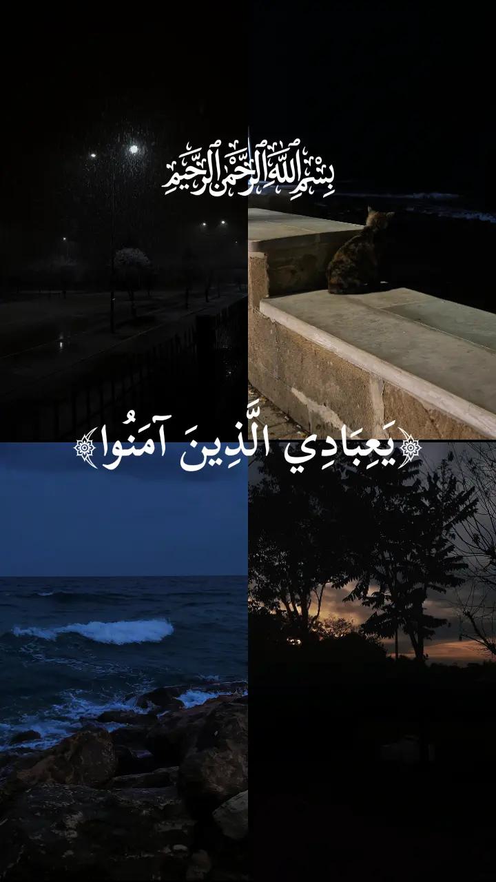 @HAMZA