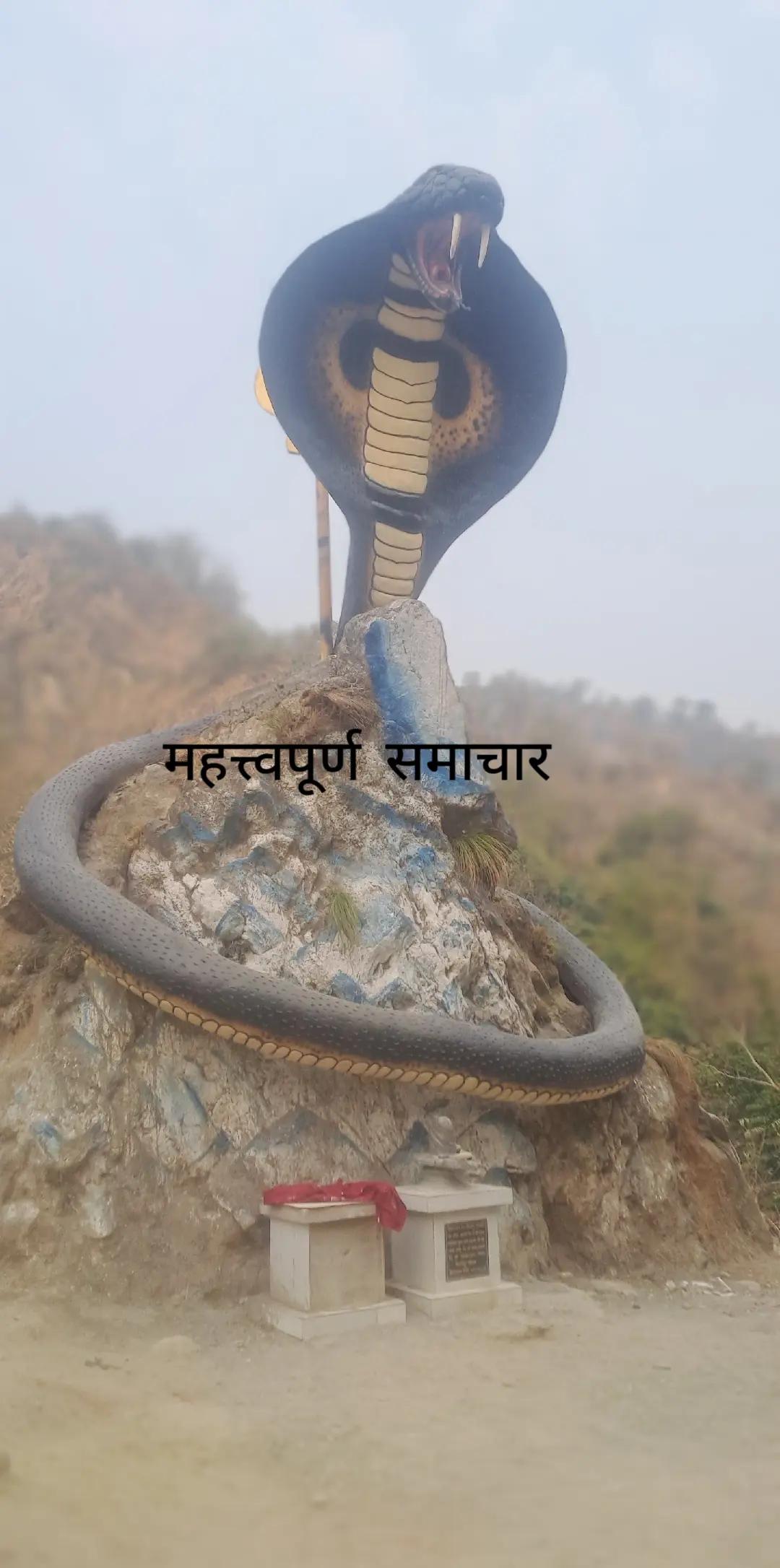 @🌻🌺अभिषेक राई🌸🌹 🇳🇵🇳🇵