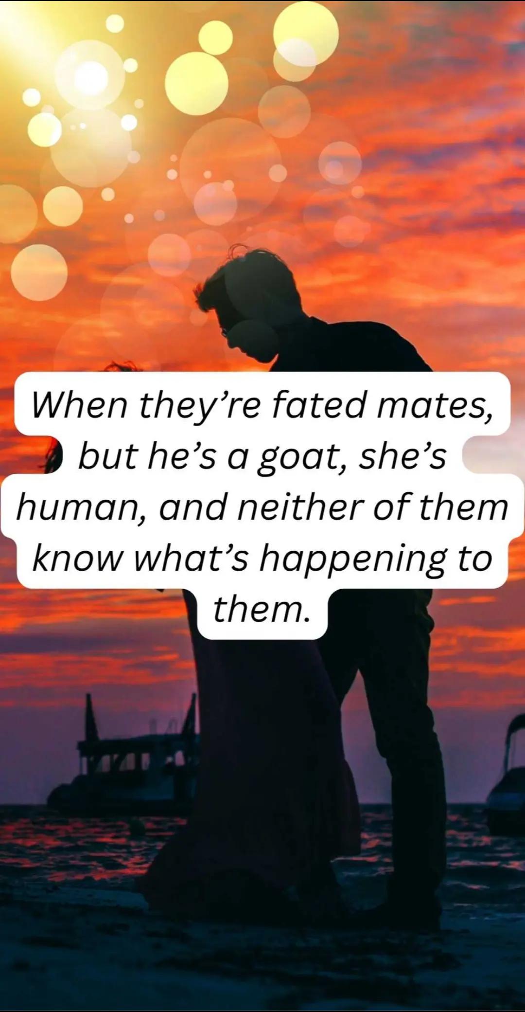 @MiaFuryBooks