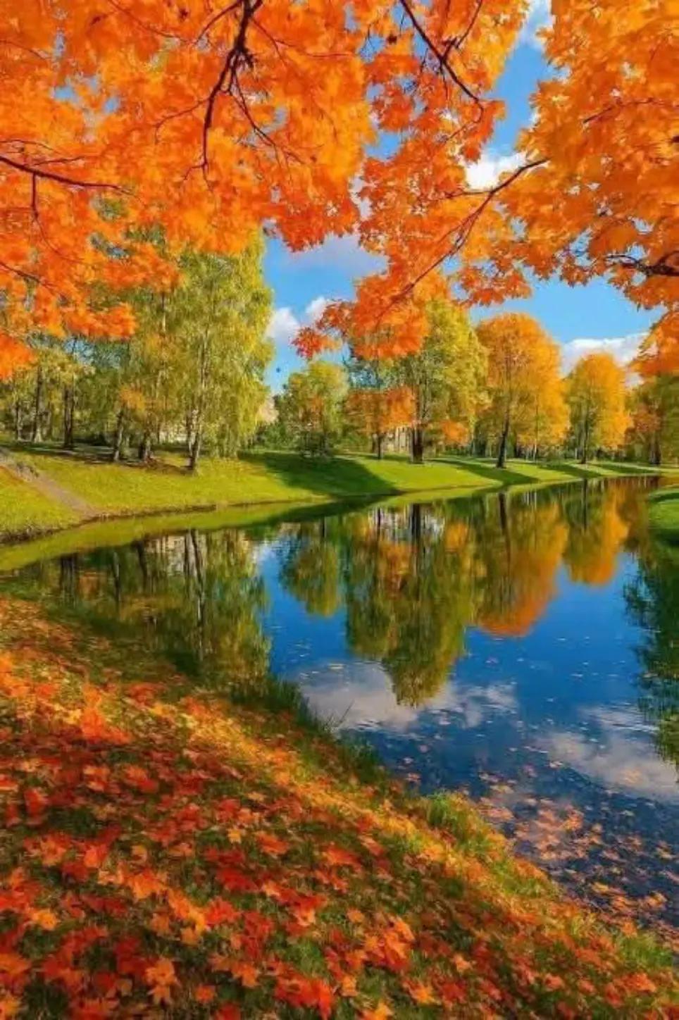 @Скарлет💙