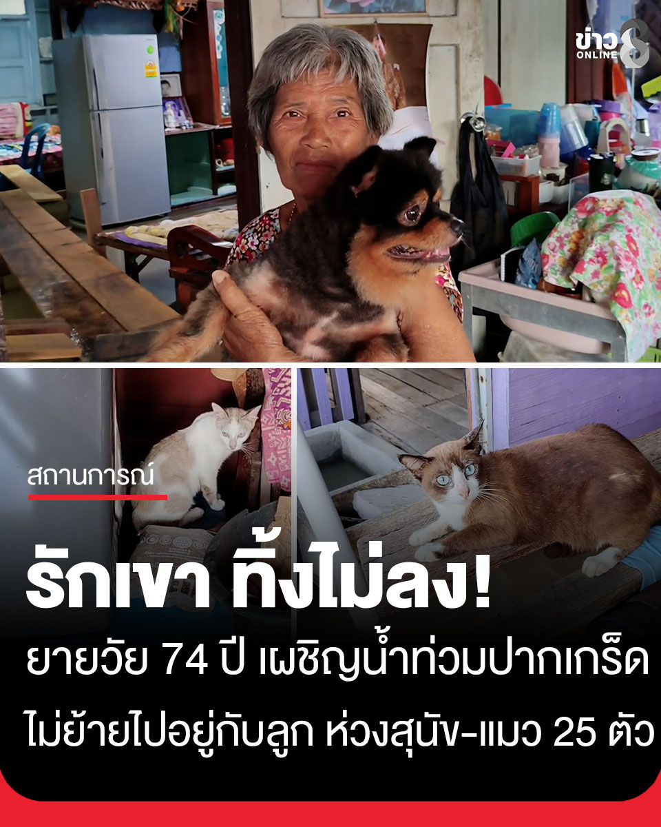 @ข่าวช่อง8