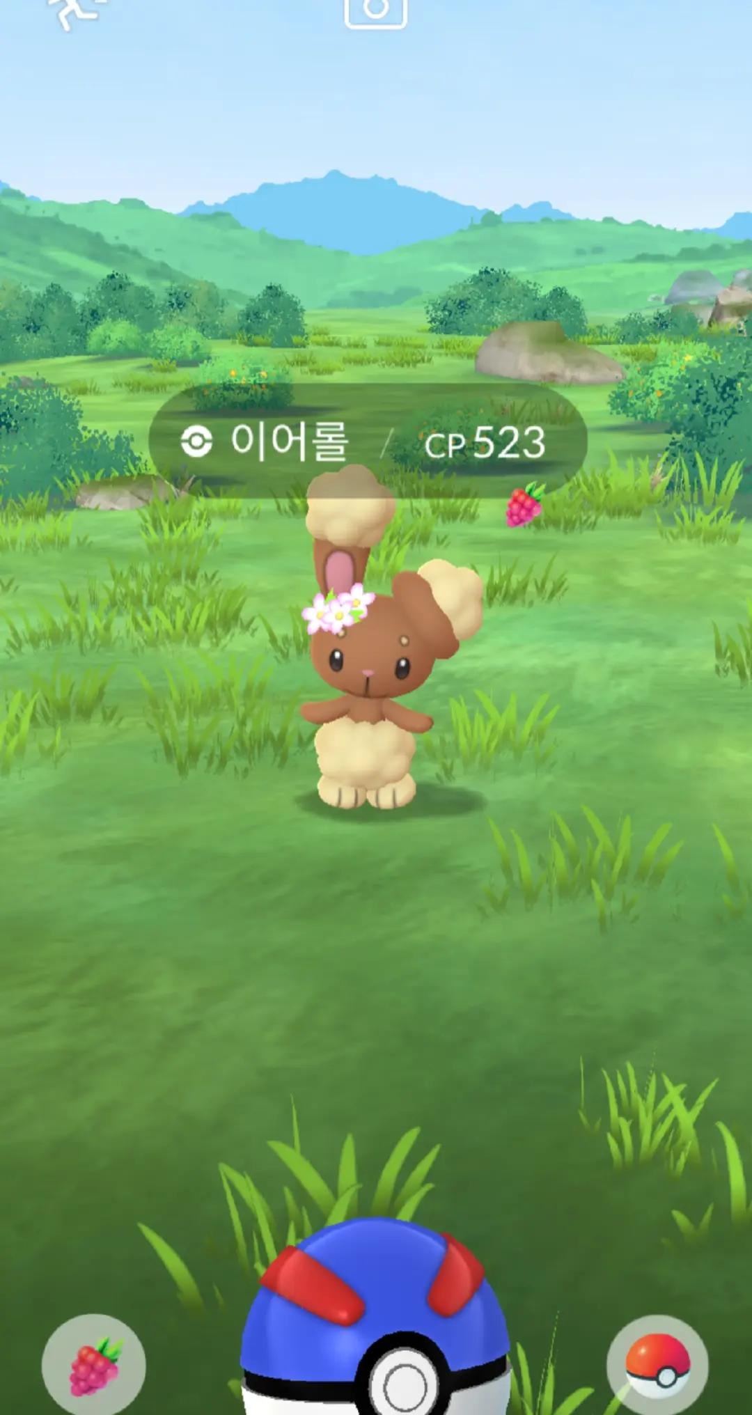 @댕청미